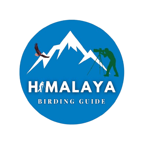 logo-new