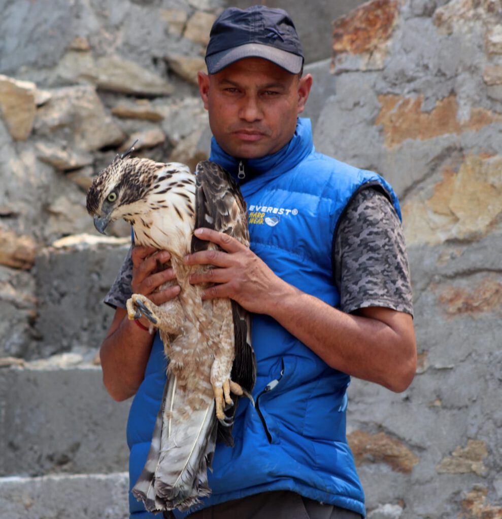 himalaya birding guide rescue